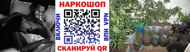 Где купить Подпорожье А ПВП Гашиш mega ССЫЛКА КОКАИН Марихуана Псилоцибиновые грибы