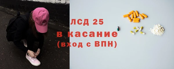 эйфоретик Аркадак