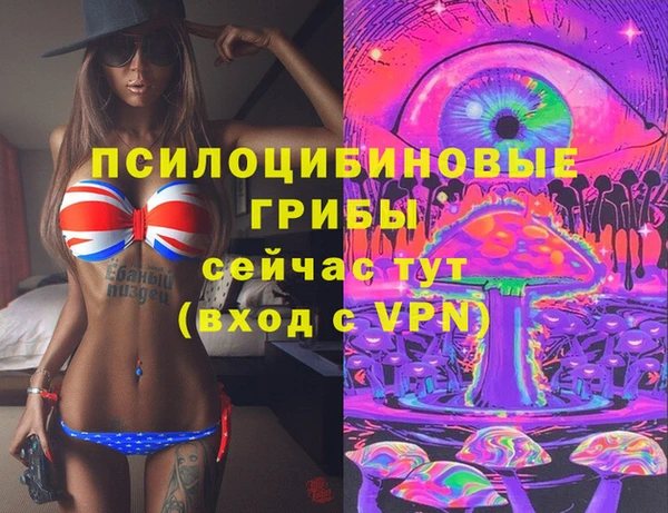 эйфоретик Аркадак