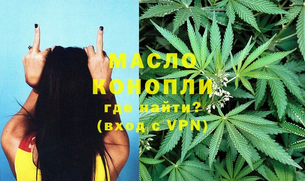 крисы Армянск