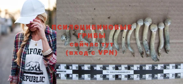 крисы Армянск