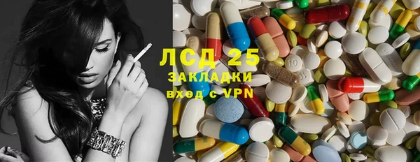 крисы Армянск