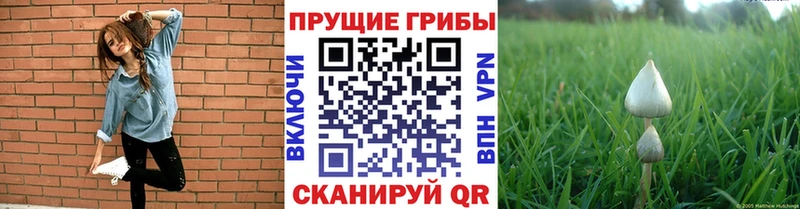 Псилоцибиновые грибы MAGIC MUSHROOMS  Подпорожье 